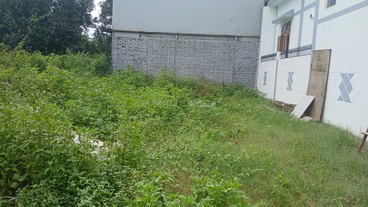 IIP, Mohkampur Main Image 1