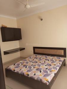 Bedroom Image of 1000 Sq.ft 3 BHK Apartment / Flat for rent in Royal Bangalows, Rajendra Nagar Indore for Rs. 31000