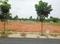 PMS Lake View Plot View 2