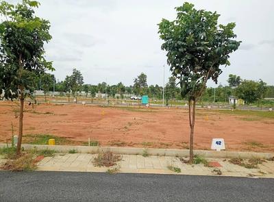 PMS Lake View Plot View 2