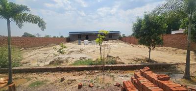 Plot View
