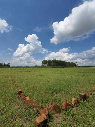 Dharantal Estate  Main Image 1