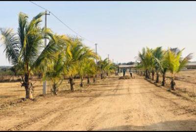Image of 3294 Sq.ft Residential Plot / Land for sale in Shadnagar, Ranga Reddy for Rs. 1633000