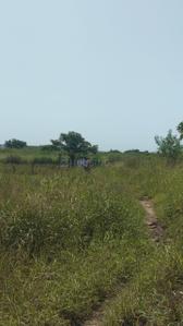 Image of 1089 Sq.ft Residential Plot / Land for sale in Red Feet Plots, Vindhane, Navi Mumbai for Rs. 700000