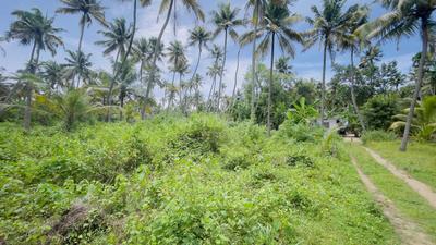 Image of 103237 Sq.ft Residential Plot / Land for sale in North Paravoor, Kochi for Rs. 41000000