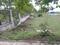 Silver Park Main Image 1
