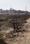 Sector 2 Main Image 1