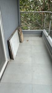 Balcony Image of 1050 Sq.ft 2 BHK Apartment / Flat for sale in Kothrud Pune for Rs. 13500000