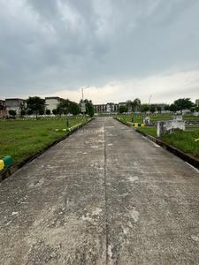 Ami greens Plot View 2
