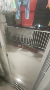 Balcony Image of 1008 Sq.ft 2 BHK Apartment / Flat for rent in Alembic Alchemy Veda, Chhani Jakat Naka Vadodara for Rs. 25000