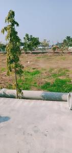 Image of 1000 Sq.ft Residential Plot / Land for sale in Panagar, Jabalpur for Rs. 400000