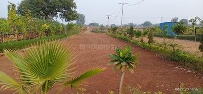 Image of 1000 Sq.ft Residential Plot / Land for sale in Sherghati, Gaya for Rs. 1100000