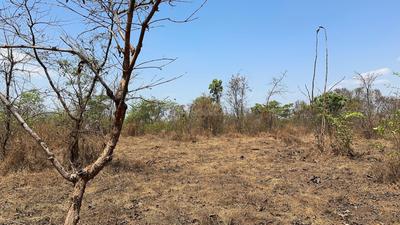 Image of 1089 Sq.ft Residential Plot / Land for sale in Pali, Raigad for Rs. 375000