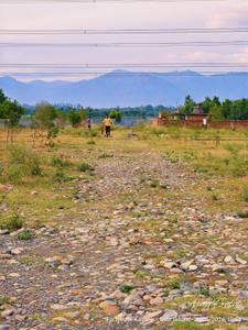 Image of 1155 Sq.ft Residential Plot / Land for sale in Selakui, Dehradun for Rs. 2000000