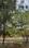 Bajwa Sunny Enclave Main Image 1