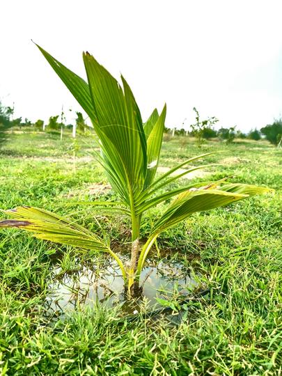 Chinthapally Main Image 1