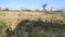 Sakri Plot View 2