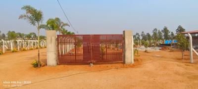 Kothur shadnagar hmda open plots Plot View 2