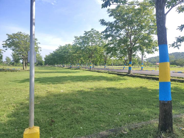 Fortune Main Image 1