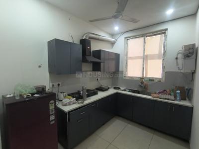 Kitchen Image of 786 Sq.ft 1 BHK Apartment / Flat for rent in Sector 20 Panchkula for Rs. 10000