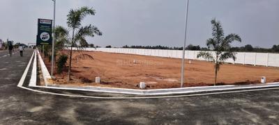 Image of 1000 Sq.ft Residential Plot / Land for sale in Panjappur, Tiruchirappalli for Rs. 800000