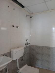 Common Bathroom Image of 748 Sq.ft 3 BHK Apartment / Flat for sale in ROF Aalayas Phase 2, Sector 102 Gurgaon for Rs. 8000000