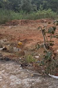 Residential Plot