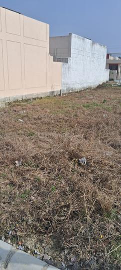 Oro County Main Image 1