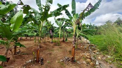 Image of 7840 Sq.ft Residential Plot / Land for sale in Poojapura, Thiruvananthapuram for Rs. 16200000