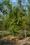 SM GOLDEN TREES AGRO LLP More Images 2