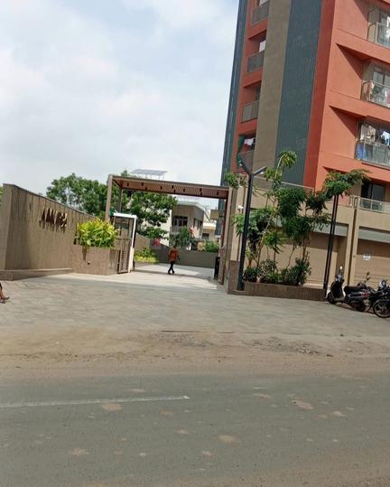 Aavkar96 More Images 1