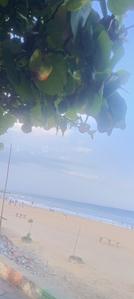 Image of 1200 Sq.ft Residential Plot / Land for sale in Palavakkam, Sholinganallur, Chennai for Rs. 18500000
