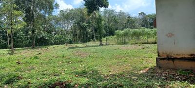 Image of 21780 Sq.ft Residential Plot / Land for sale in Aryad South, Alappuzha for Rs. 400000