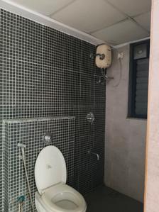Common Bathroom Image of 754 Sq.ft 2 BHK Apartment / Flat for rent in Lodha Palava Downtown, Palava Phase 2 Thane for Rs. 13000