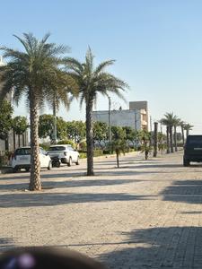 Image of 2250 Sq.ft Residential Plot / Land for sale in Sangowal, Ludhiana for Rs. 7500000