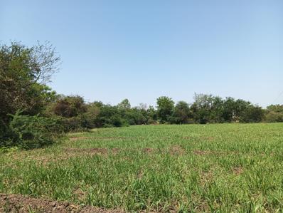 Image of 700 Sq.ft 1 BHK Builder Floor for rent in Ellora Park, Vadodara for Rs. 10500