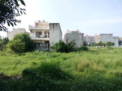 Sector 77 Plot View 2