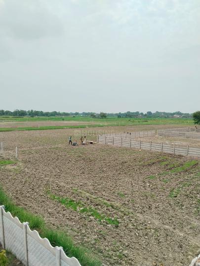 Arruwa Khader Main Image 1