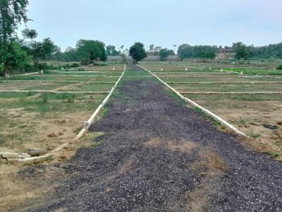 Royal Society  Plot View 3