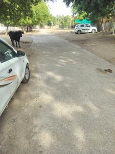 Image of 1800 Sq.ft Residential Plot / Land for sale in Krishna Nagar, Bhatinda, Jodhpur for Rs. 7500000