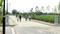 Stellar Okas Golf View Main Image 1