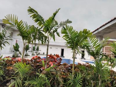 Image of 3000 Sq.ft Residential Plot / Land for sale in Wallfort Parkview, Datrenga, Raipur for Rs. 4900000