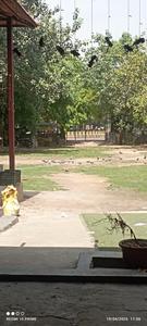 Image of 1205 Sq.ft 5 BHK Independent House for sale in Sector 47, Noida for Rs. 44000000