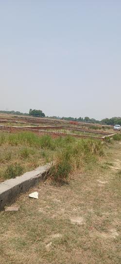 Naman green garden Main Image 1