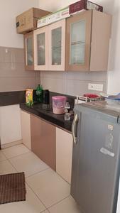 Kitchen Image of 750 Sq.ft 2 BHK Apartment / Flat for rent in VJ Yashwin Hinjawadi, Hinjawadi Phase 2 Pune for Rs. 29000