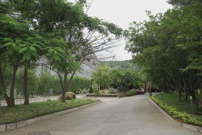 Image of 10000 Sq.ft Residential Plot / Land for sale in Nandi Hills, Chikballapur District for Rs. 90000000