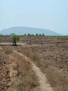 Invest Mahamumbai Plots In Sarde Plot View 2