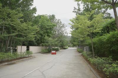 Image of 10000 Sq.ft Residential Plot / Land for sale in Nandi Hills, Chikballapur District for Rs. 90000000