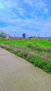 Image of 1000 Sq.ft Residential Plot / Land for sale in Sakri, Bilaspur for Rs. 1500000