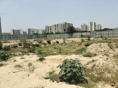 Residential Plot